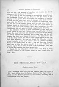 Old Antique Print Red-Collared Whydah Male Female Penthetria Ardens 1899 19th
