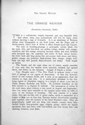 Old Antique Print Orange Weaver Pyromelana Franciscana Male Female 1899 19th