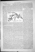 Antique Print 1869 Opening Suez Canal Alexandria Plan Harbour Red Sea Egypt