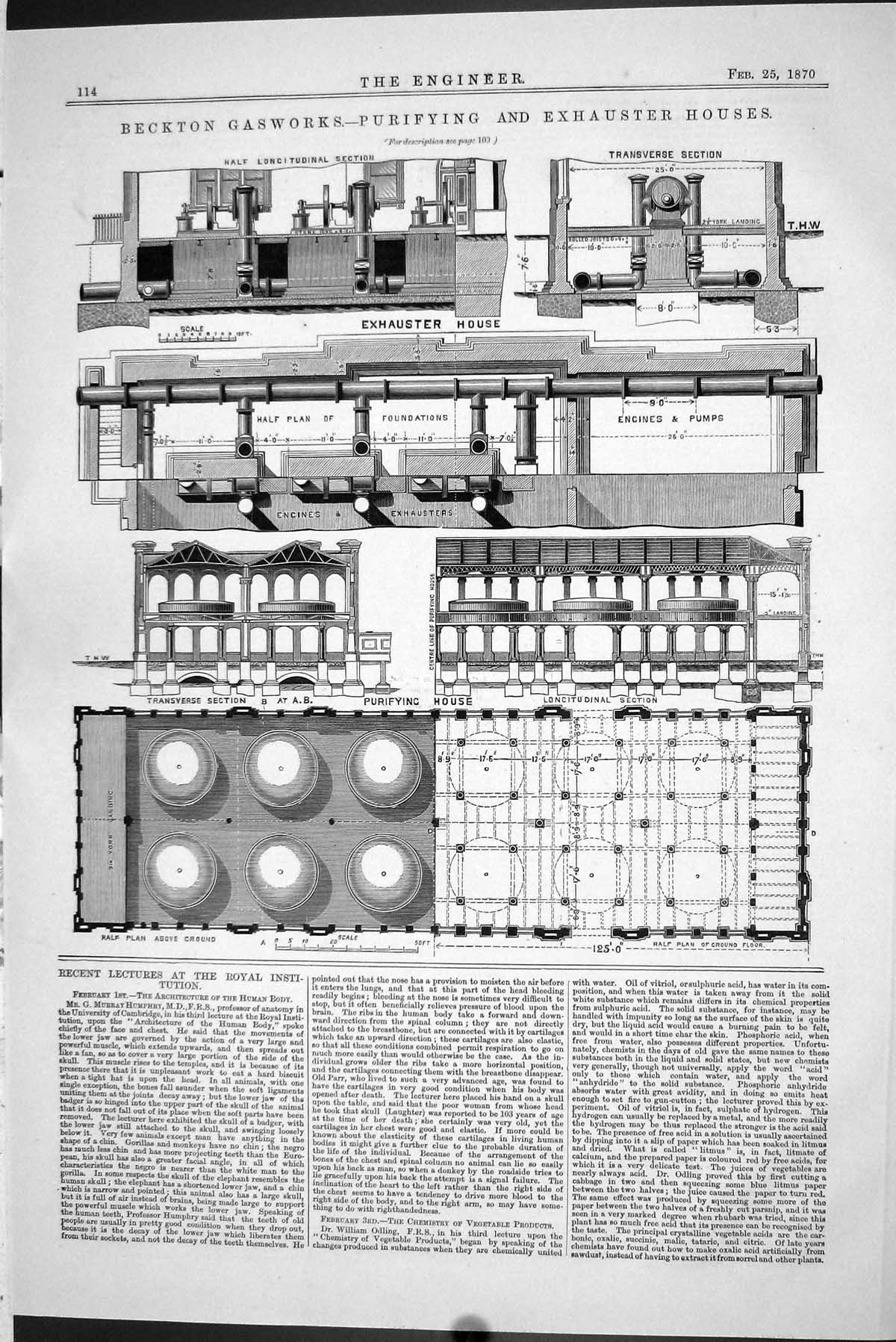 Antique Print 1870 Beckton Gasworks Purifying Exhauster Houses Engineering 19th