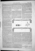 Old Print 1871 Engineering Albert Bridge Suspension System Professor Kerr 19th