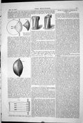 Old 1871 Engineering Anterior Fragment Round Shot Impact Armour Diagr Victorian