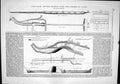 Antique Print 1874 Cast Iron Arched Bridge Allier River Vichy Shannon Lough