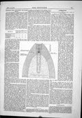 Old Professor Abel Gun-Cotton Water Shells Diagrams Engineering 1874 Victorian