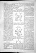 Antique Print 1881 Linley Safety Padlock Diagrams Ship Air Bag Application 19th