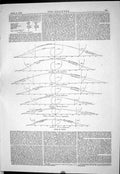 Old Print 1883 Curves Yachts Diagrams Chazalie Marchesa Jacanar Geraldine 19th