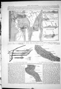 Old Engineering 1884 Geological Plan Reschitza Doman Colliery Safety Victorian