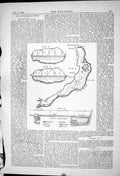 Old *6092 Danube Bridge Project Graham 1883 Philadelphia Electrical E