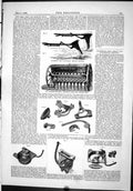 Old Print Engineering 1886 Chadburn-Cwell Seed Manure Drill Tripping Cou 19th
