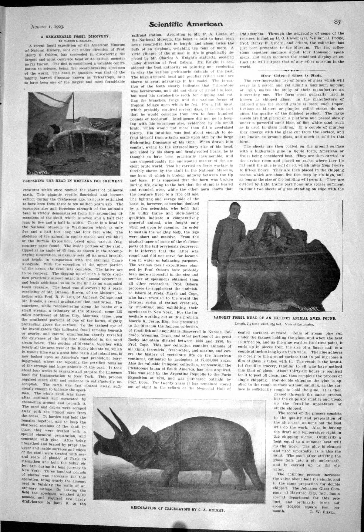 Old 1903 Scientific American Fossil Archaeology Triceratops Head Mont 20th