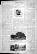 Old 1903 Scientific American Coal Porcelain Cup Elephant Rock Granite 20th