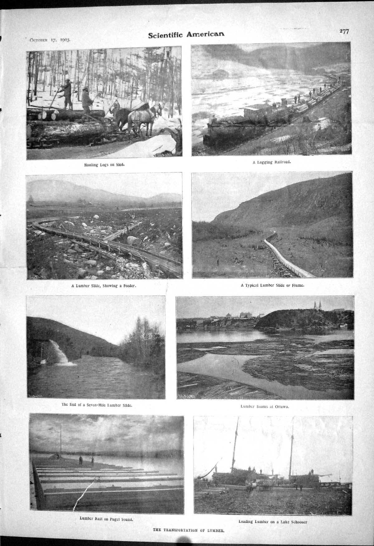 Old 1903 Scientific American Transportation Lumber Logs Ottawa Murdoc 20th