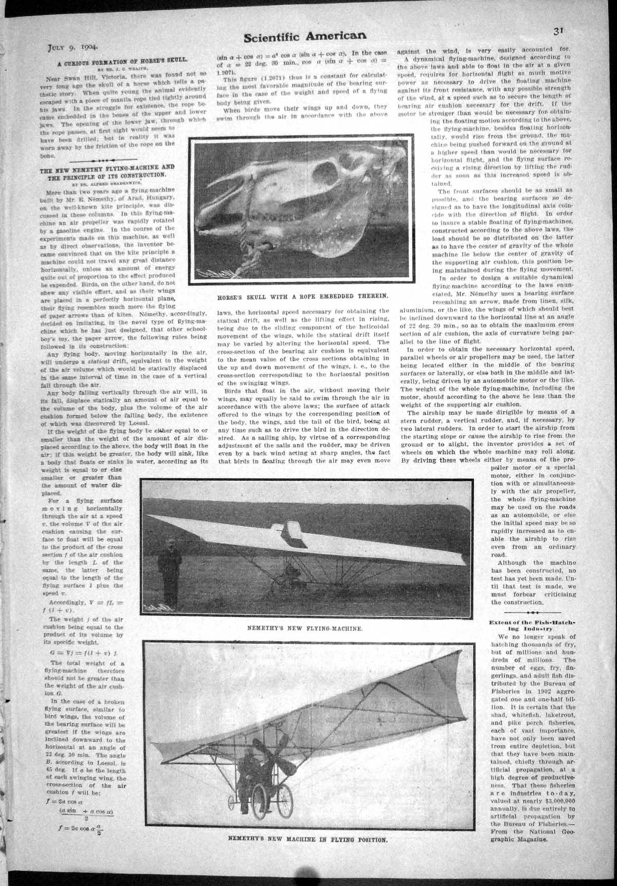 Old Scientific American 1904 Rope Horse Skull Formation Nemethy Flyin 20th