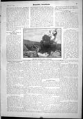 Old Scientific American 1904 Photograph Great Rotorua Geyser Eruption 20th