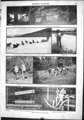 Old Scientific American 1904 Mammoth Skeleton Malamute Dogs River Yuk 20th
