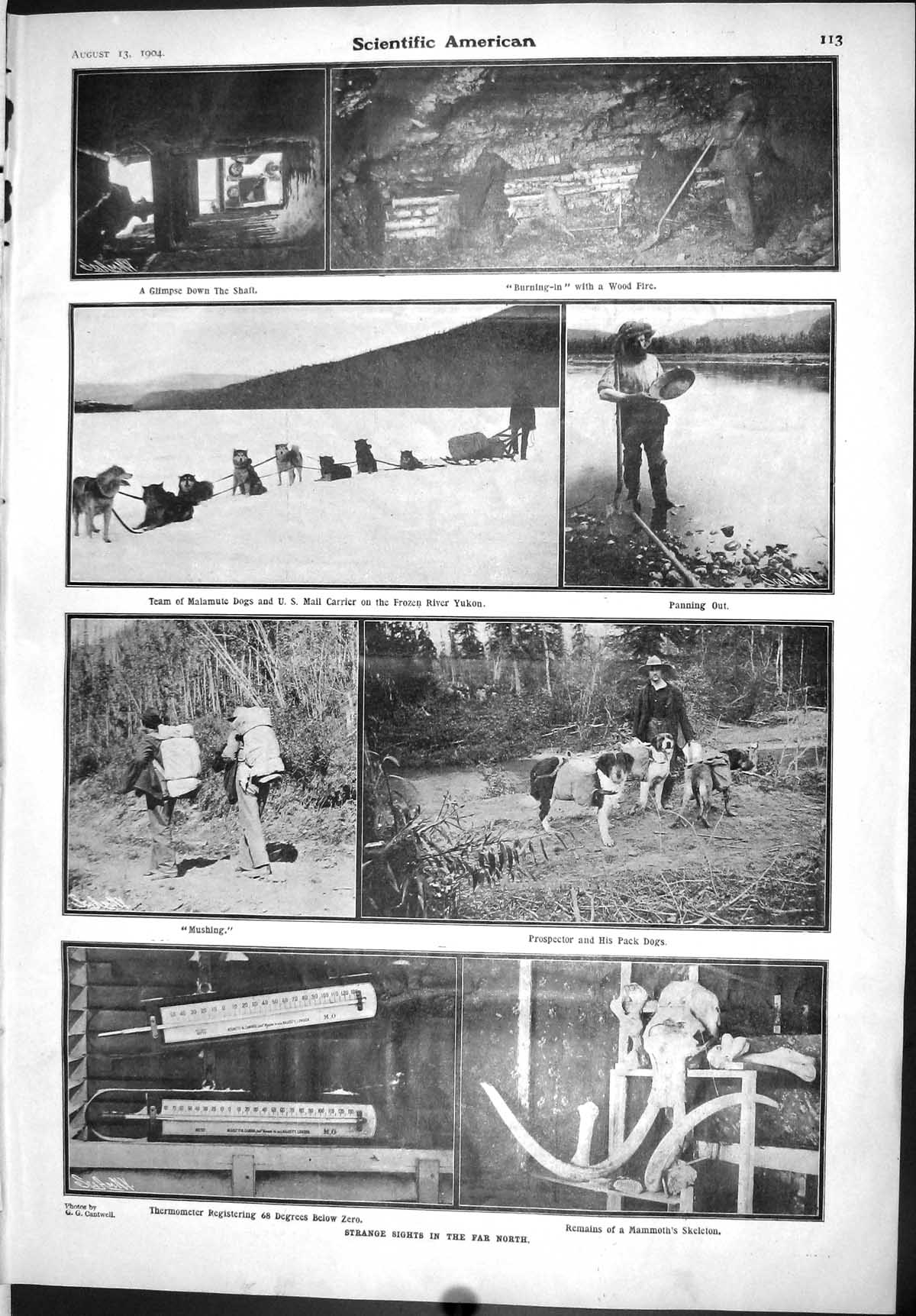 Old Scientific American 1904 Mammoth Skeleton Malamute Dogs River Yuk 20th
