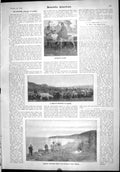 Old Scientific American 1904 Reindeer Industry Alaska Hobbled Animals 20th