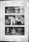 Old Scientific American 1904 Glass Models Microscopic Forms Life Bryo 20th