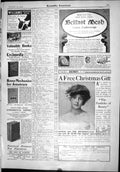 Old Scientific American 1904 Belfast Mesh Munn Jaeger Corey Milliken 20th