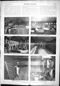 Old Scientific American 1904 Wine Making New York Champagne Bottles D 20th