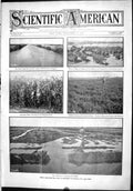 Old Scientific American 1904 Irrigation California Hogs Corn Alfalfa 20th