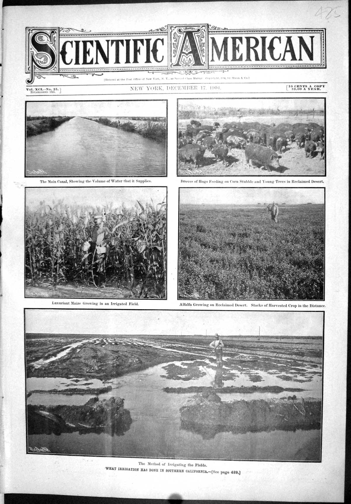 Old Scientific American 1904 Irrigation California Hogs Corn Alfalfa 20th