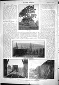 Old Scientific American 1904 Tree Stilts Fire Protection Snowsheds Pa 20th