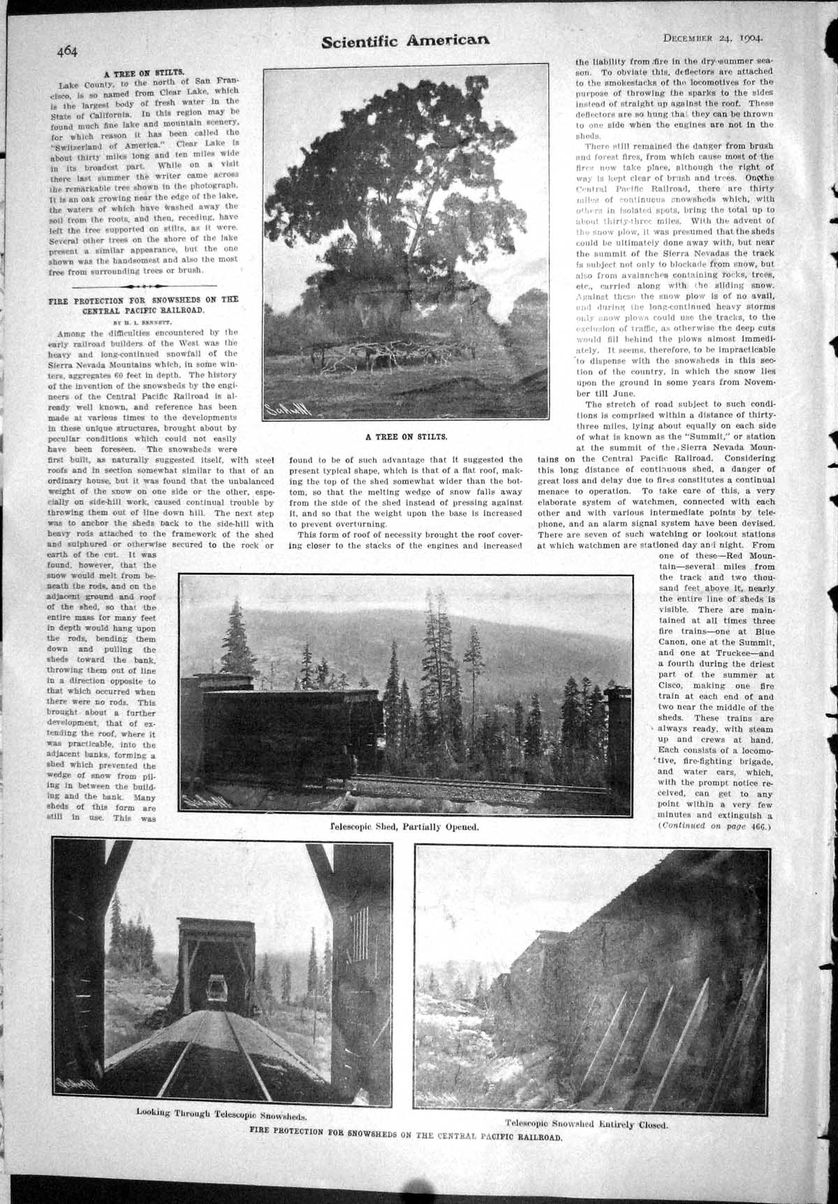 Old Scientific American 1904 Tree Stilts Fire Protection Snowsheds Pa 20th