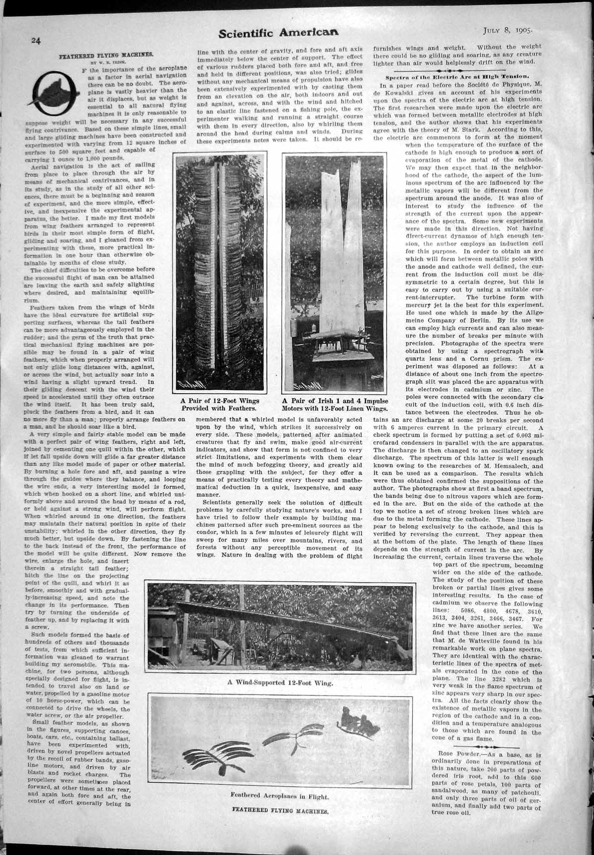 Old 1905 Feathered Flying Machines 12-Foot Wings Impulse Motors Linen 20th