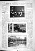 Old Print 1905 Scientific American Deer Horns Fing Canoes Jointed Oars P 20th