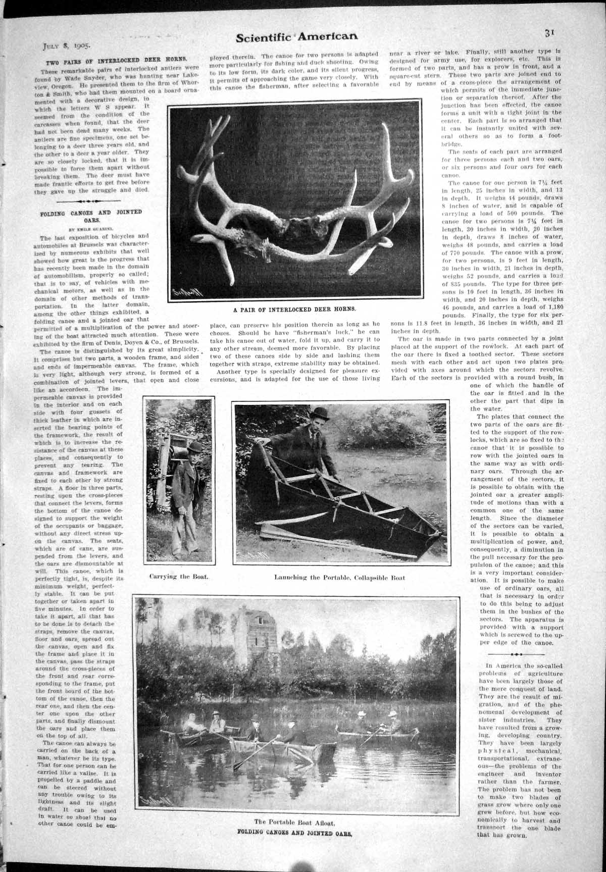 Old Print 1905 Scientific American Deer Horns Fing Canoes Jointed Oars P 20th