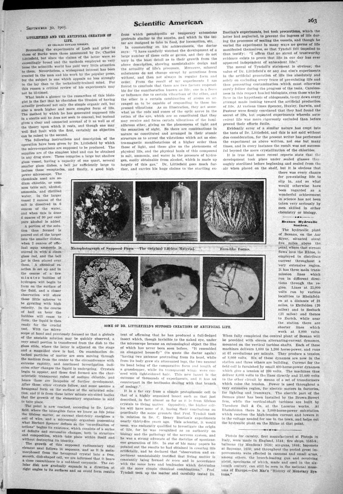 Old 1905 Scientific American Littlefield Artificial Life Paris Crimin 20th