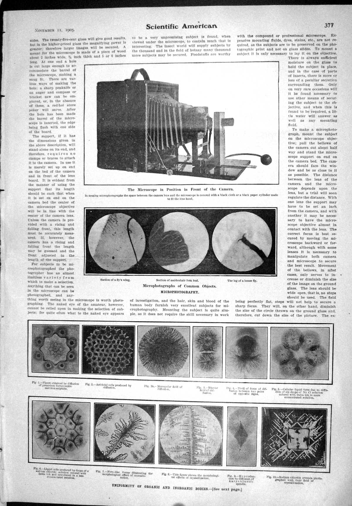 Old 1905 Uniformity Organic Inorganic Bodies Microphotography Science 20th