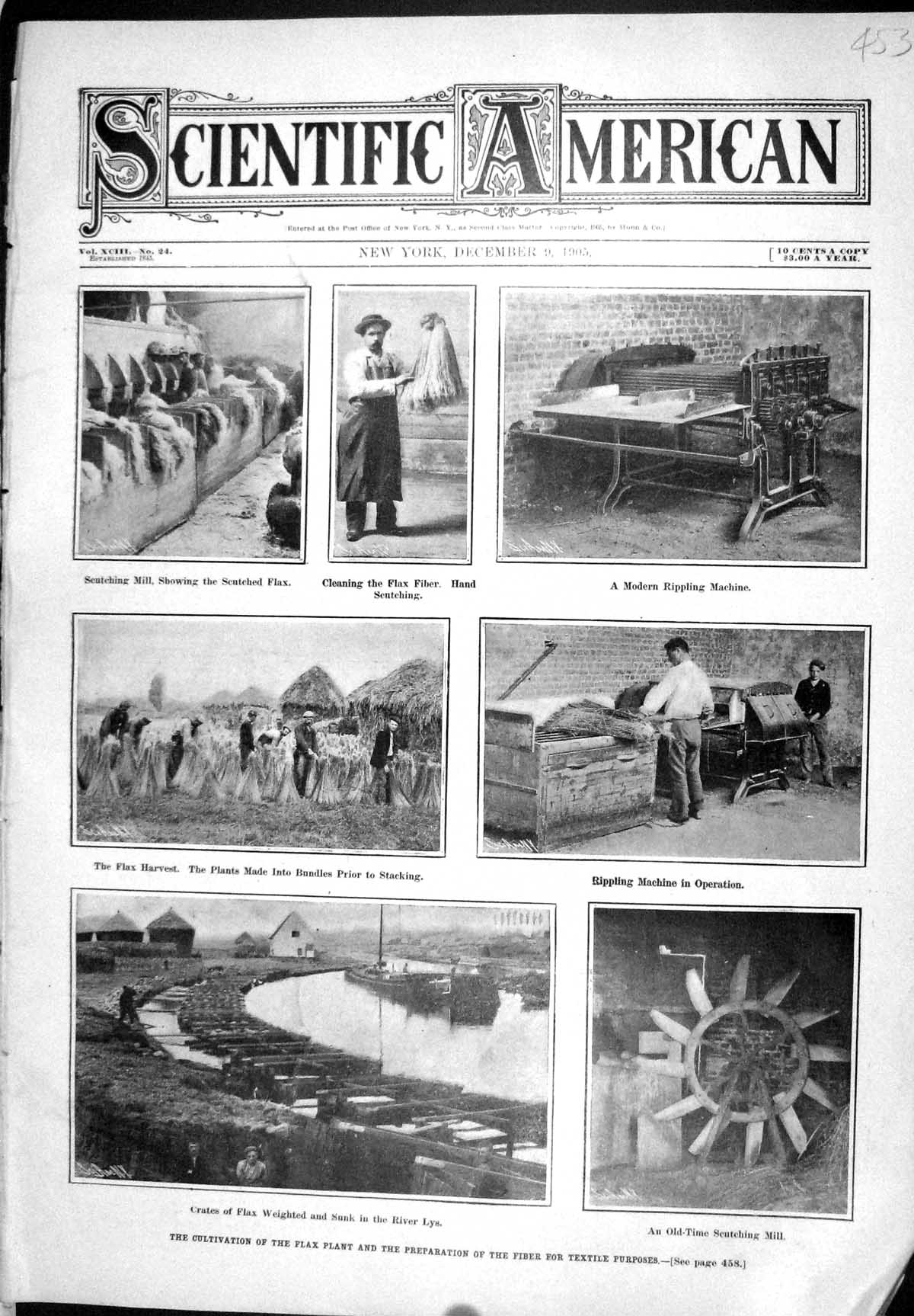 Old 1905 Scientific American Cultivation Flax Plant Fiber Textile Pur 20th