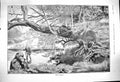 Old 1900 Trout Fishing River Angler Devon Somerset Staghounds Hunting Victorian