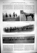Old Sandown Horse Racing Musker Melton 1900 Sport Bramston Torbay Roy Victorian
