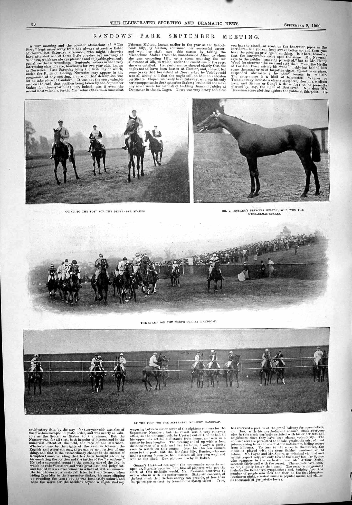 Old Sandown Horse Racing Musker Melton 1900 Sport Bramston Torbay Roy Victorian