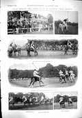 Old 1900 Sport Polo Horses Dublin Phoenix Park Carlow Cirencester Sho Victorian