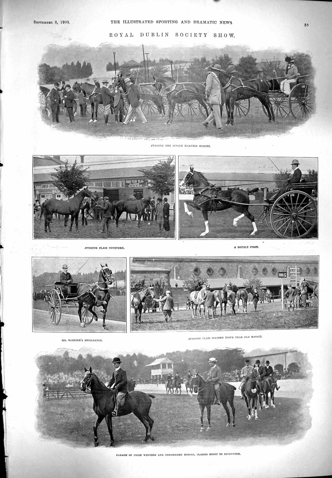 Old 1900 Sport Dublin Society Show Horses Mcbride Reiff Captain Scott Victorian