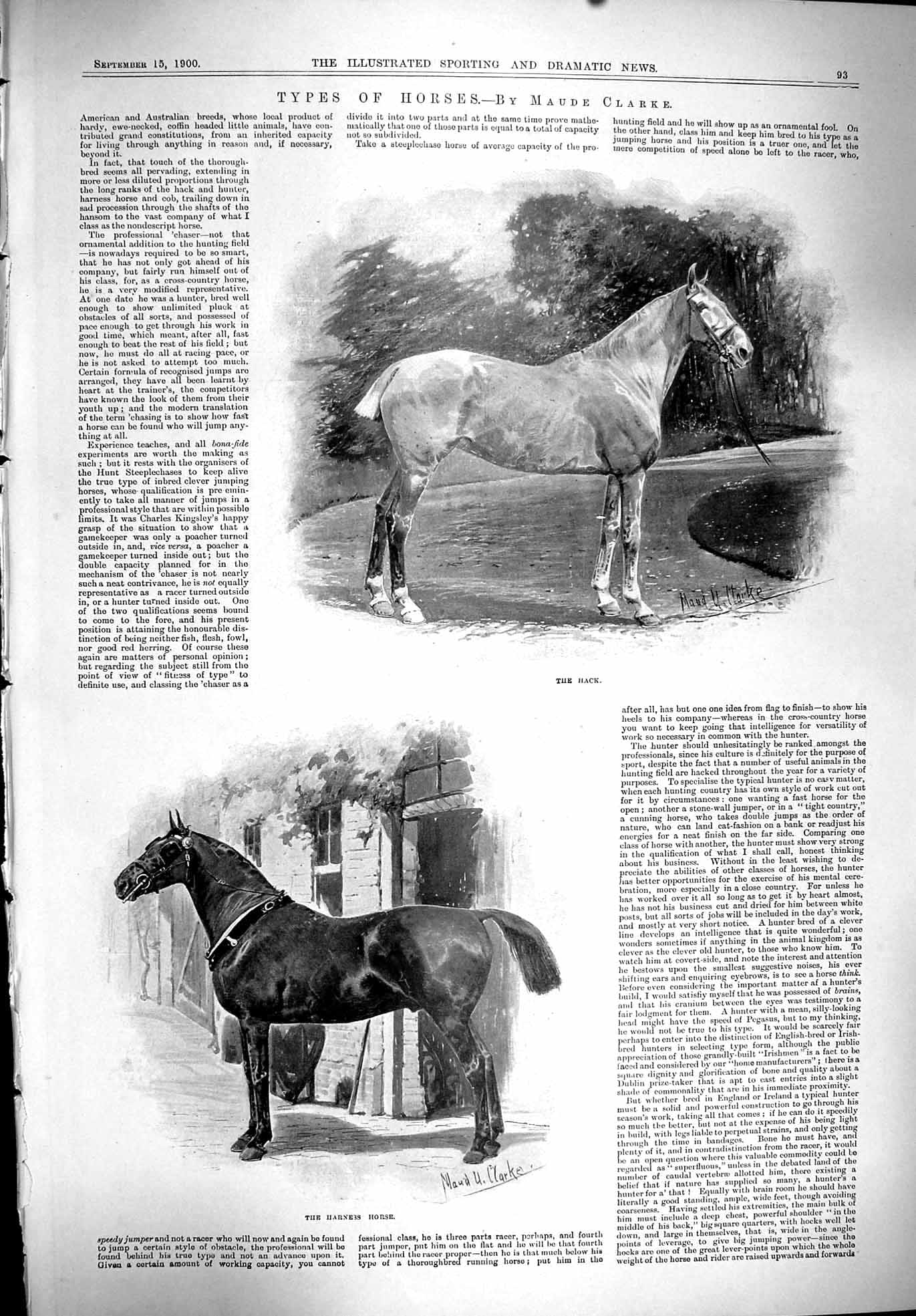 Old 1900 Sport Harness Horse Hack Big Game Animals Shot Prince Henry Victorian