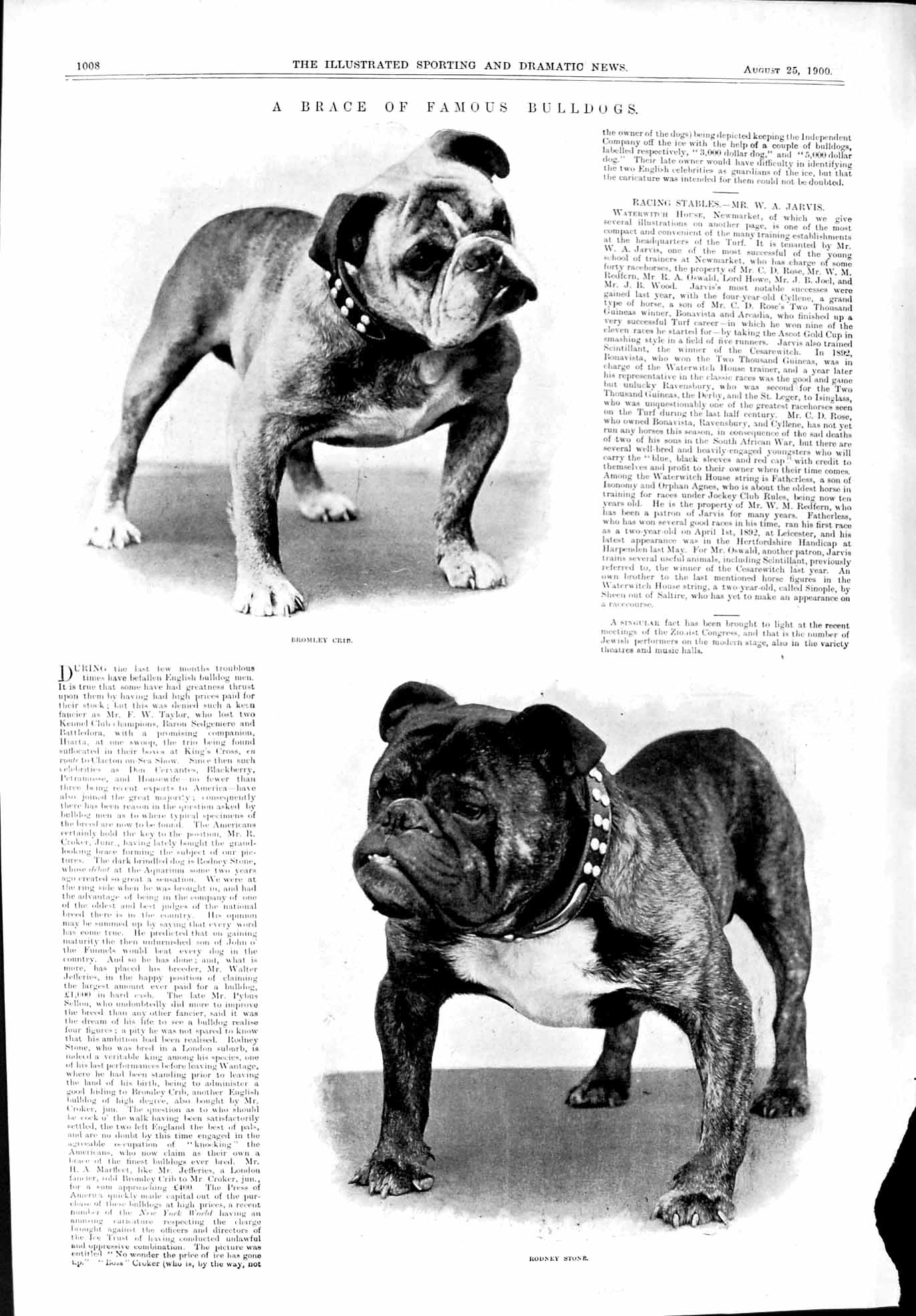 Old Bulldogs Bromley Crib Rodney Stone Dogs 1900 Sport John Riddle Go 20th