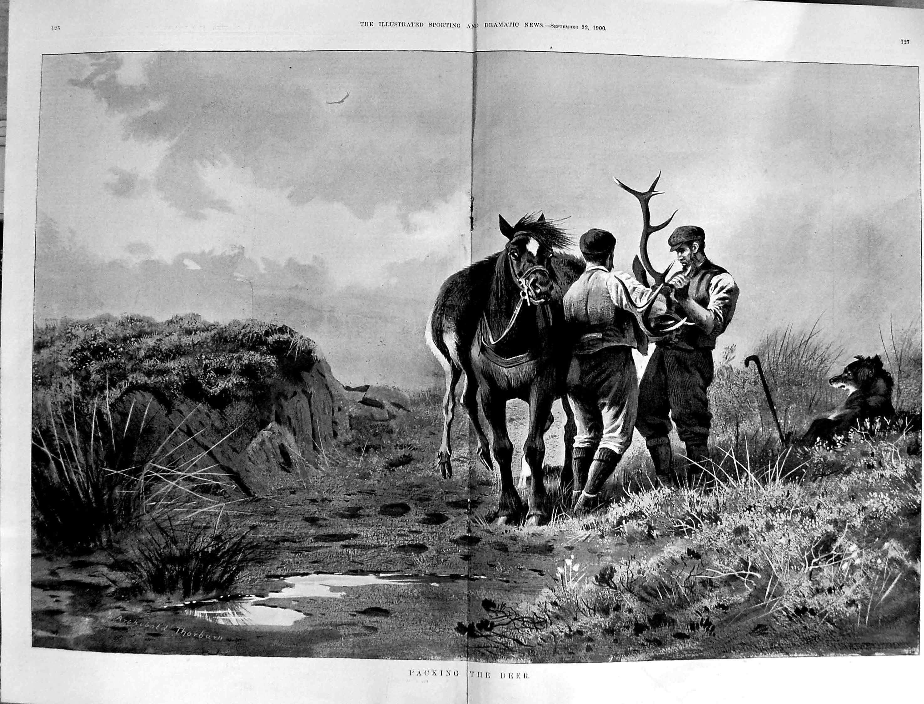 Old 1900 Sport Stag Hunting Deer Horse Huntsmen Hound Dog Archibald T 20th