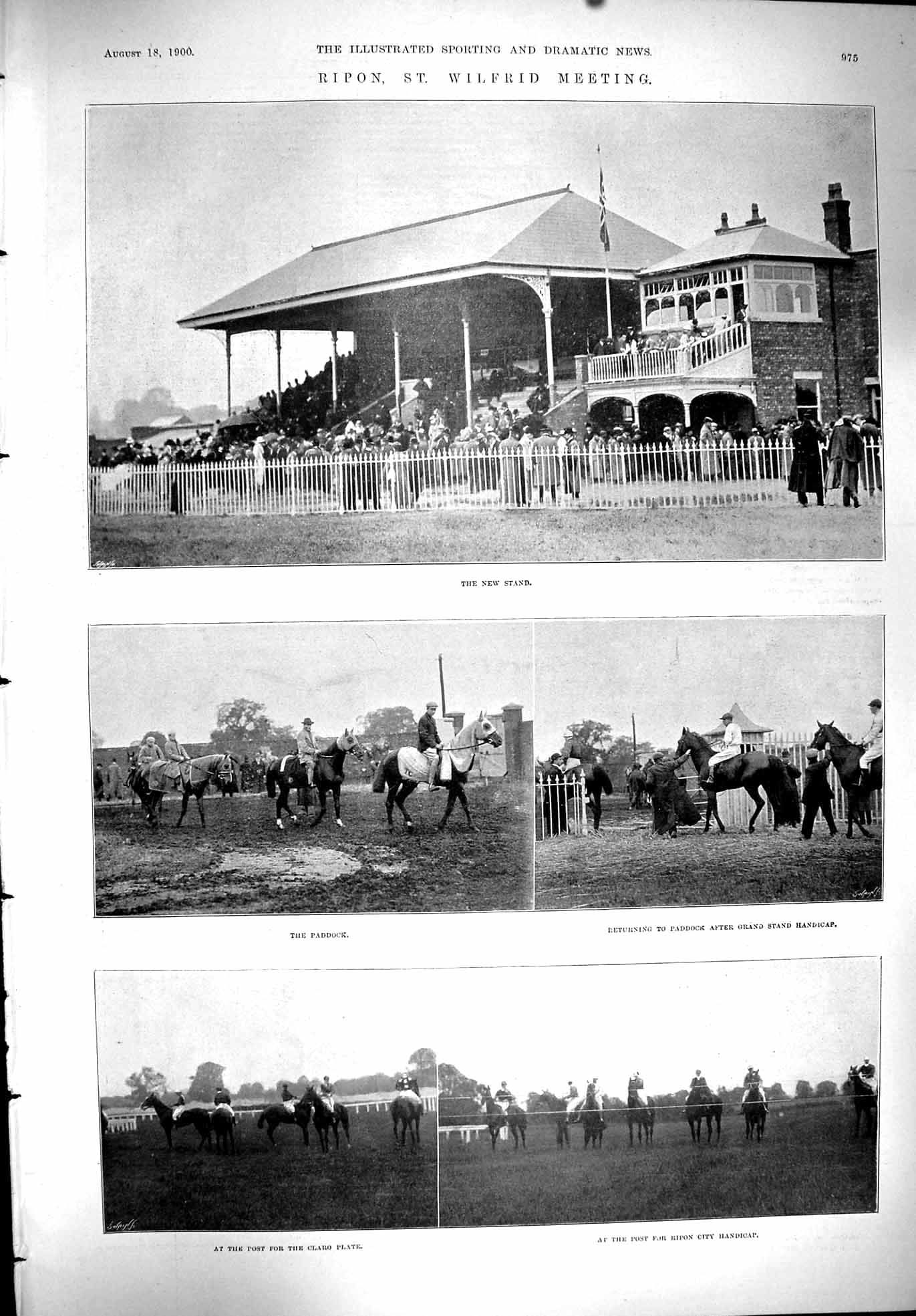 Old 1900 Sport Horse Racing Ripon Wilfrid Paddock Golf Campbell Adair Victorian