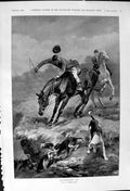 Old 1900 Hunting Scene Man Falling Horse Hounds Dogs Doctors Sleigh S Victorian