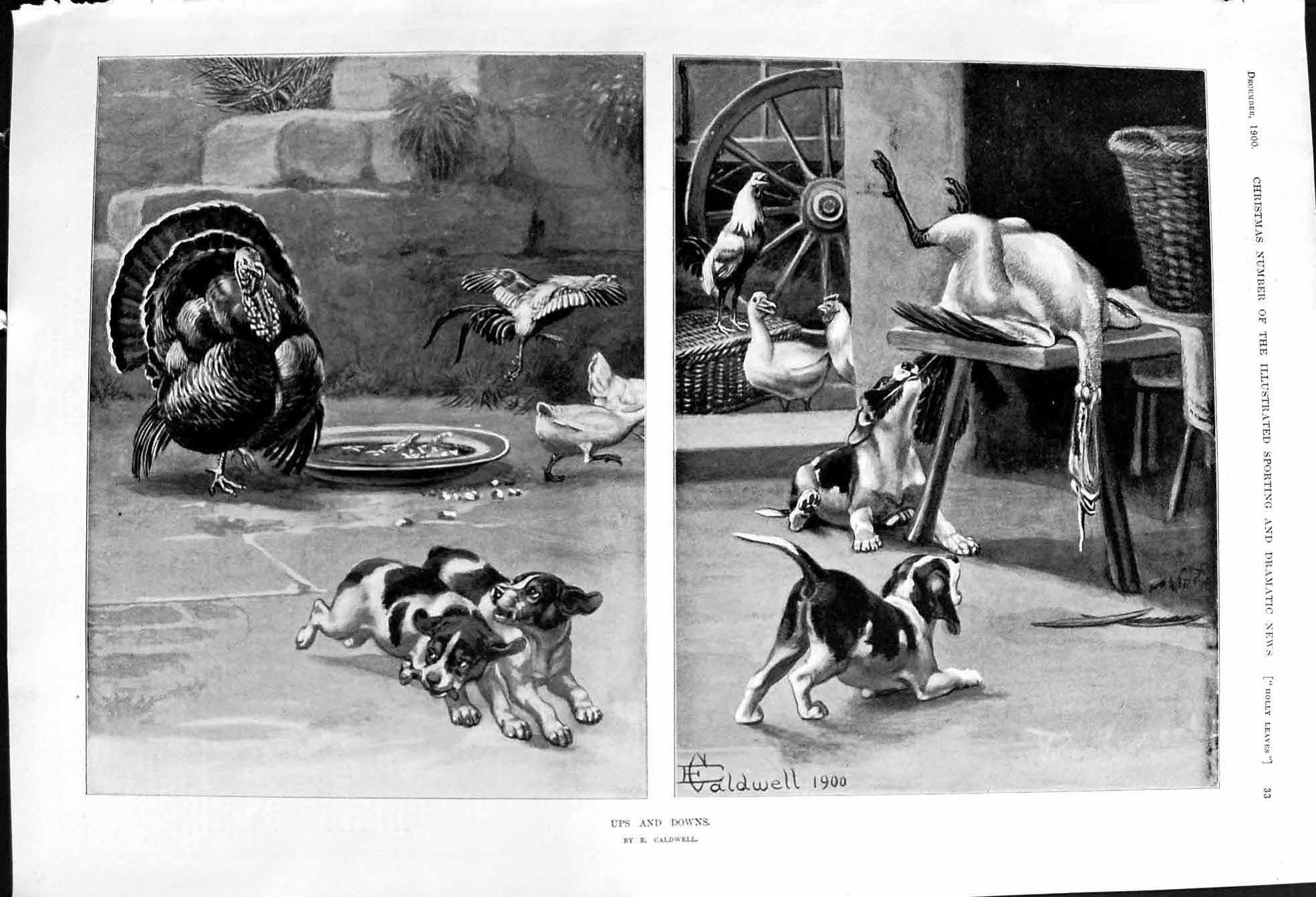 Old 1900 Caldwell Ups Downs Turkey Goose Cockerill Puppy Dogs Animals Victorian