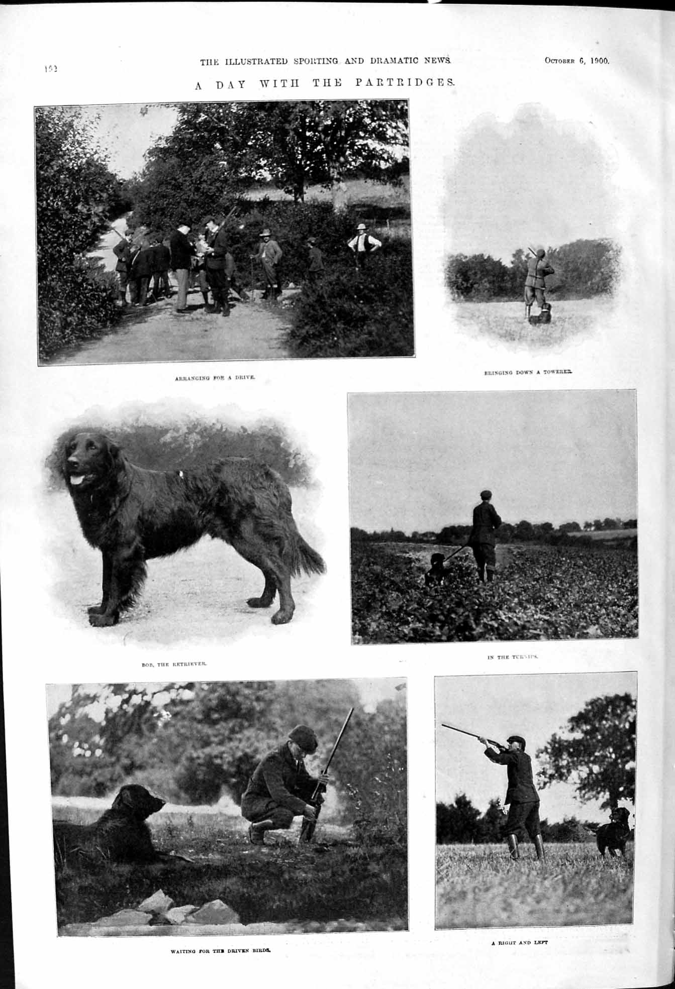 Old 1900 Partridges Hunting Shooting Bob Dog Retriever Lady Punting R Victorian