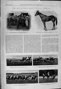 Old 1900 New Zealand Grand National Prosser Thorpe Straybird Horses T Victorian