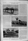 Old 1900 Elephants Vultures Dead Tiger Burmese Boat Race Markham Wils Victorian