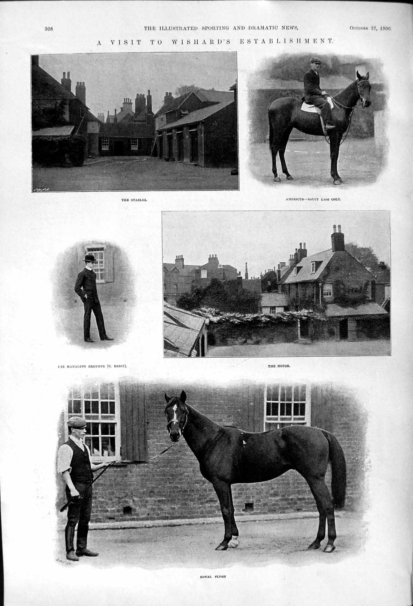 Old 1900 Wishard Horses Royal Flush Americus Saucy Lass Reiff Polo Po Victorian