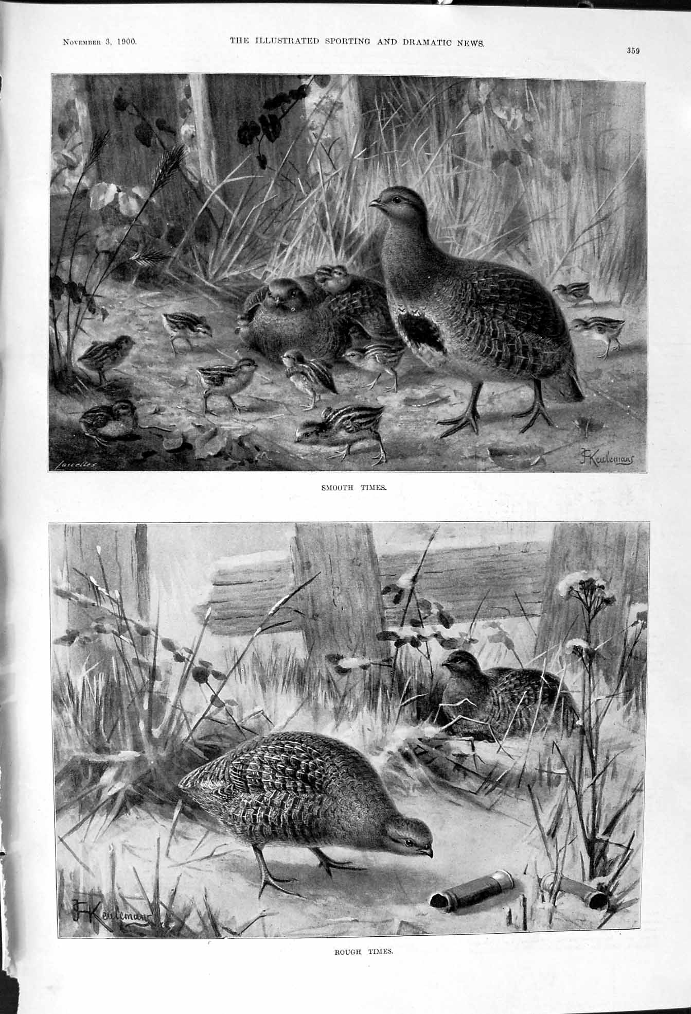 Old 1900 Baby Birds Hunting Grouse Hilda Charlotte Thorp Horse Search Victorian